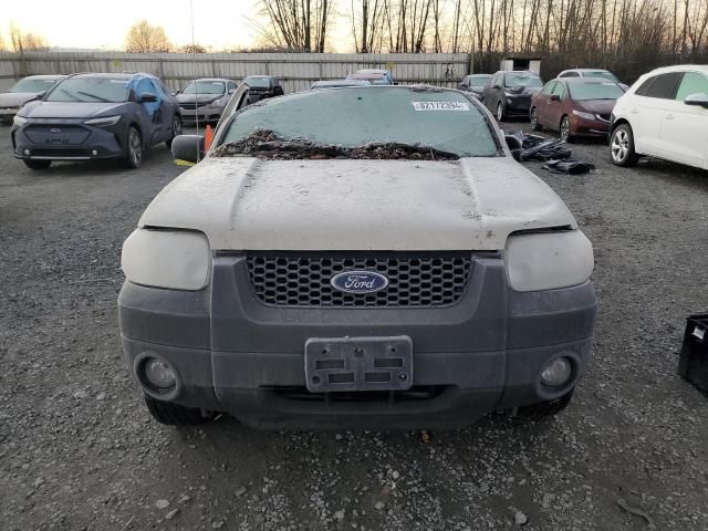 2005 Ford Escape XLT