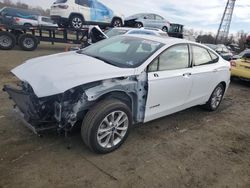 Ford Fusion salvage cars for sale: 2019 Ford Fusion SE