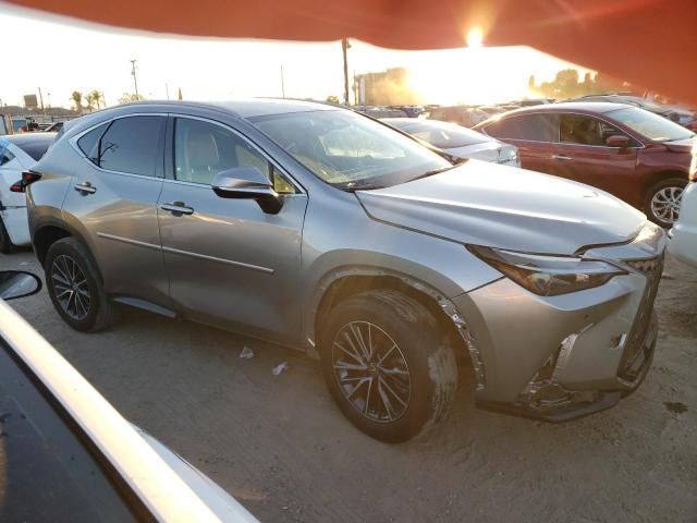 2023 Lexus NX 250