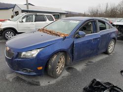 Chevrolet Cruze eco Vehiculos salvage en venta: 2013 Chevrolet Cruze ECO