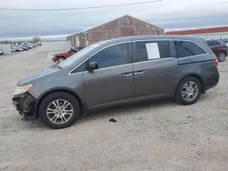 Honda Odyssey exl salvage cars for sale: 2012 Honda Odyssey EXL