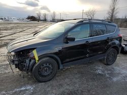 Ford Escape salvage cars for sale: 2013 Ford Escape SE