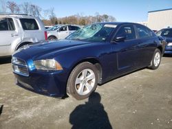 Dodge Charger salvage cars for sale: 2014 Dodge Charger SE