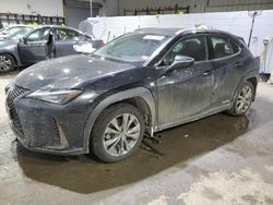 Lexus salvage cars for sale: 2021 Lexus UX 250H