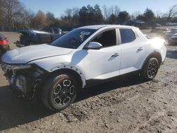 2022 Hyundai Santa Cruz SEL en venta en Madisonville, TN