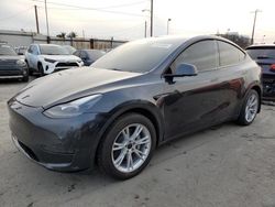 Tesla salvage cars for sale: 2024 Tesla Model Y