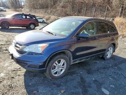 Salvage cars for sale from Copart Marlboro, NY: 2011 Honda CR-V EX