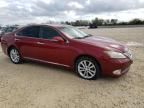 2011 Lexus ES 350