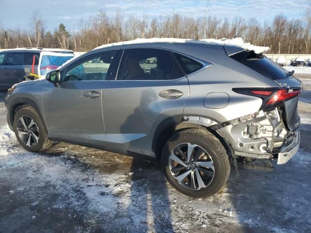 2021 Lexus NX 300 Base