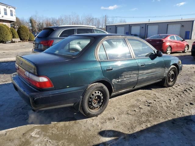 1996 Toyota Corolla DX