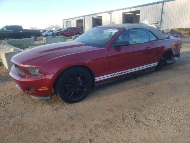 2011 Ford Mustang