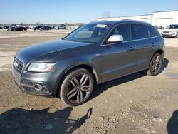 Audi sq5 salvage cars for sale: 2015 Audi SQ5 Premium Plus