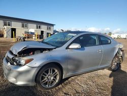 Scion tc Vehiculos salvage en venta: 2006 Scion TC