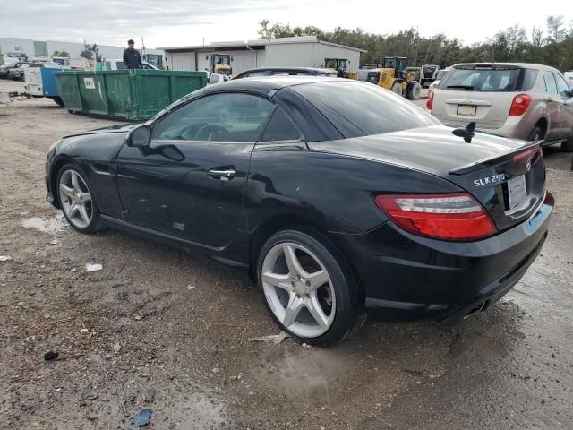 2013 Mercedes-Benz SLK 250