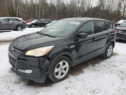 Ford salvage cars for sale: 2014 Ford Escape SE