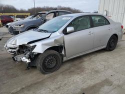 Toyota Corolla salvage cars for sale: 2012 Toyota Corolla Base