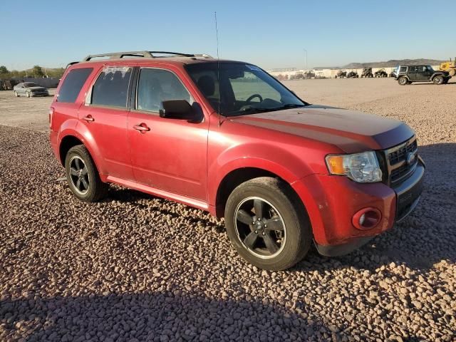 2009 Ford Escape XLT