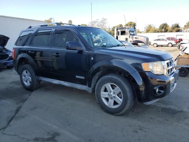 2008 Ford Escape HEV