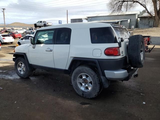 2010 Toyota FJ Cruiser