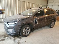 Toyota rav4 salvage cars for sale: 2024 Toyota Rav4 XLE