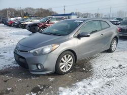 KIA Forte salvage cars for sale: 2014 KIA Forte EX