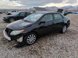 Toyota Corolla salvage cars for sale: 2012 Toyota Corolla Base