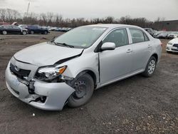 Toyota Corolla salvage cars for sale: 2010 Toyota Corolla Base