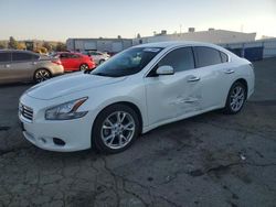 Nissan Maxima salvage cars for sale: 2013 Nissan Maxima S