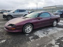 1995 Chevrolet Camaro for sale in Ottawa, ON