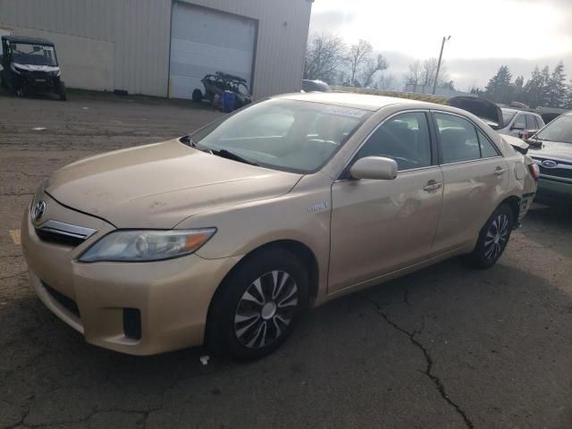 2010 Toyota Camry Hybrid