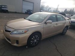 Toyota salvage cars for sale: 2010 Toyota Camry Hybrid