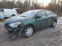 Toyota Corolla salvage cars for sale: 2016 Toyota Corolla L