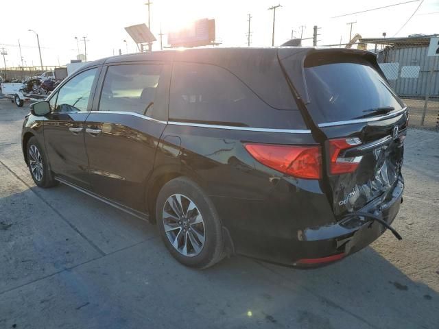 2023 Honda Odyssey EXL