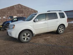 Honda salvage cars for sale: 2009 Honda Pilot EXL