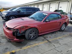 2002 Ford Mustang for sale in Louisville, KY