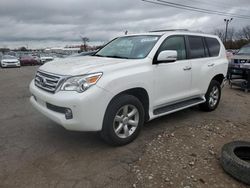 Lexus gx salvage cars for sale: 2010 Lexus GX 460