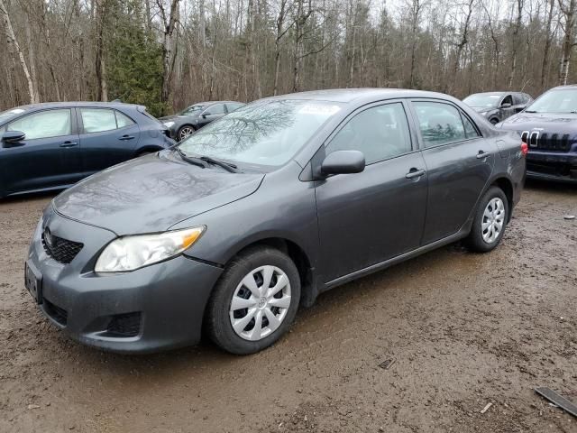 2010 Toyota Corolla Base