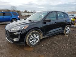 Ford Escape salvage cars for sale: 2020 Ford Escape S