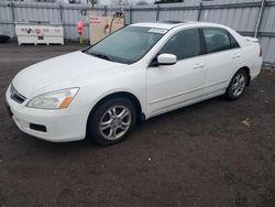 Honda Accord salvage cars for sale: 2007 Honda Accord EX