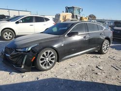 Cadillac ct5 salvage cars for sale: 2021 Cadillac CT5 Premium Luxury