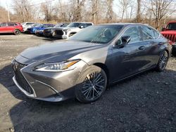 Lexus salvage cars for sale: 2023 Lexus ES 350 Base