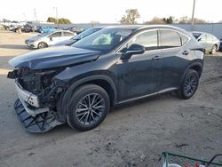 Lexus nx 250 salvage cars for sale: 2022 Lexus NX 250