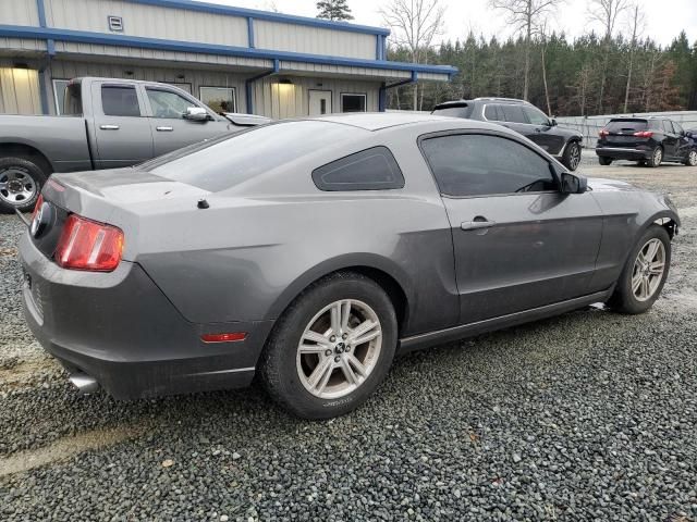 2013 Ford Mustang