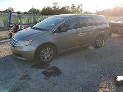 Honda salvage cars for sale: 2013 Honda Odyssey EXL