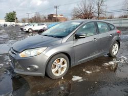 Ford Focus salvage cars for sale: 2014 Ford Focus SE