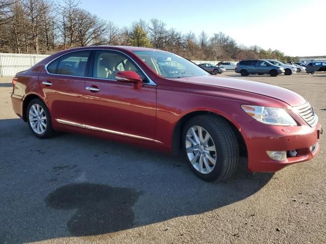 2010 Lexus LS 460