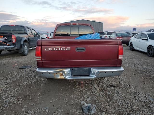 2000 Dodge Dakota