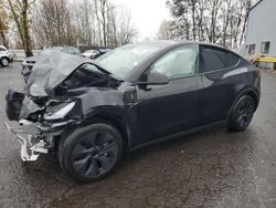 Tesla Model y salvage cars for sale: 2025 Tesla Model Y