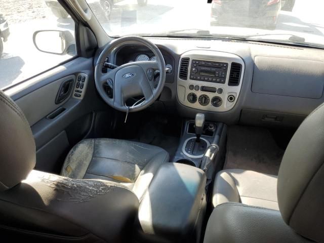 2006 Ford Escape XLT