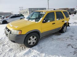 Ford Vehiculos salvage en venta: 2002 Ford Escape XLT